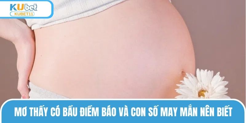 Mơ Thấy Có Bầu Điềm Báo Và Con Số May Mắn Nên Biết 