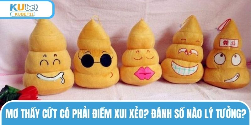 Mơ Thấy Cứt Có Phải Điềm Xui Xẻo? Đánh Số Nào Lý Tưởng? 